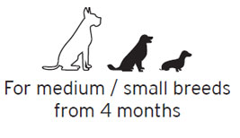 med small breeds mini logo